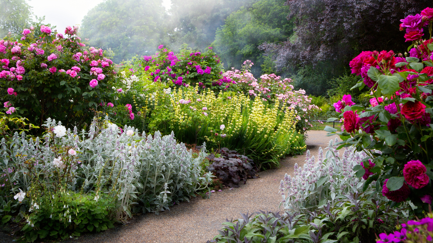 stunning flowers in an English park